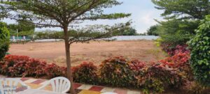 whatsapp image 2025 10 06 at 9.36.31 pm